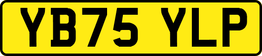 YB75YLP