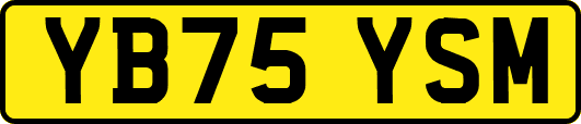 YB75YSM
