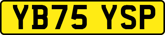 YB75YSP