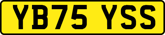 YB75YSS