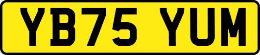 YB75YUM