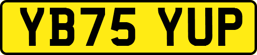 YB75YUP