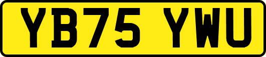 YB75YWU
