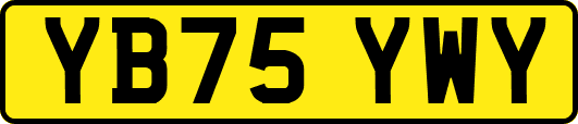 YB75YWY