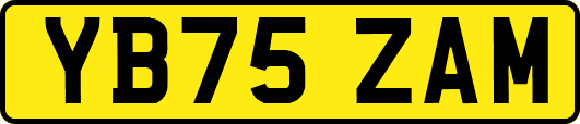 YB75ZAM