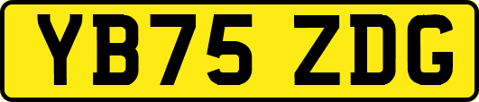 YB75ZDG