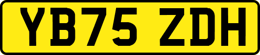 YB75ZDH