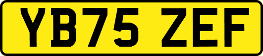 YB75ZEF