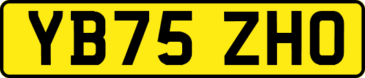 YB75ZHO