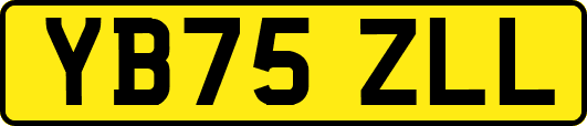 YB75ZLL