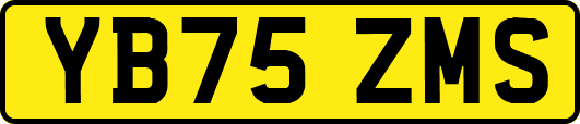 YB75ZMS