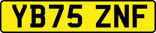 YB75ZNF