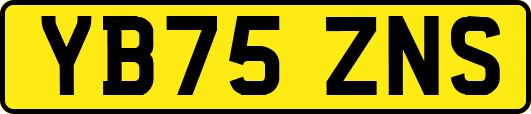 YB75ZNS