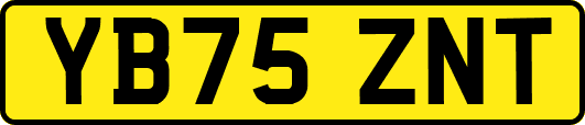 YB75ZNT