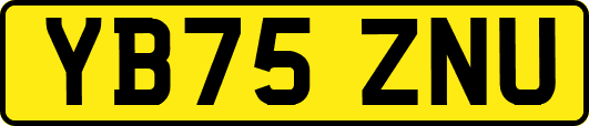 YB75ZNU