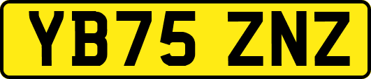 YB75ZNZ
