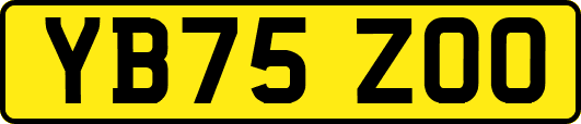 YB75ZOO