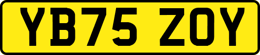 YB75ZOY