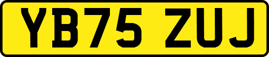 YB75ZUJ