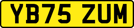 YB75ZUM