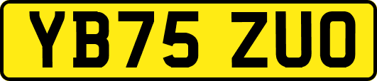 YB75ZUO