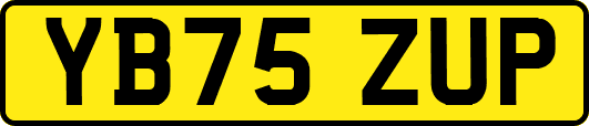 YB75ZUP