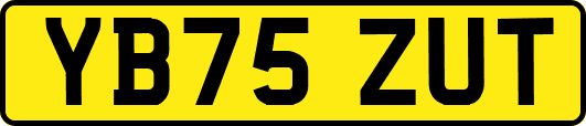 YB75ZUT