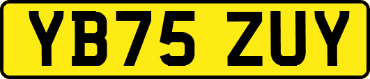 YB75ZUY