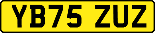 YB75ZUZ