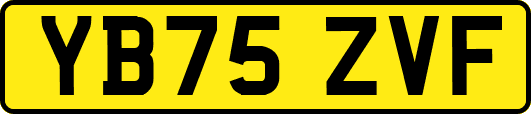 YB75ZVF