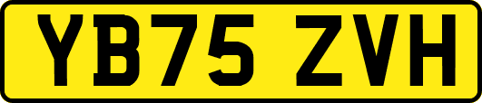 YB75ZVH