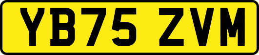 YB75ZVM