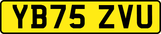 YB75ZVU