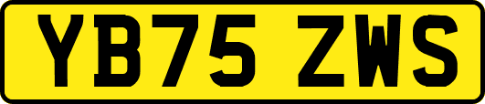YB75ZWS