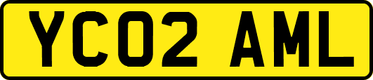 YC02AML