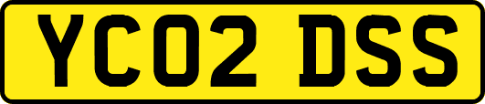 YC02DSS