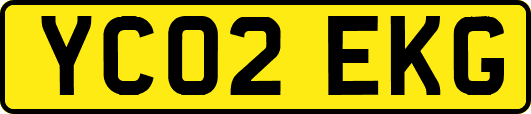 YC02EKG