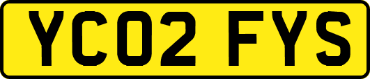 YC02FYS