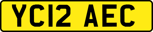 YC12AEC