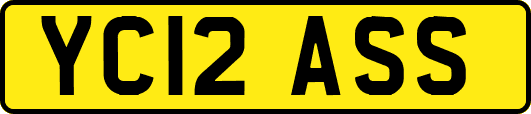 YC12ASS