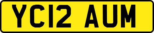 YC12AUM