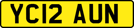YC12AUN