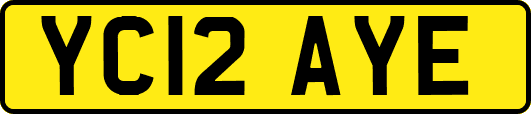 YC12AYE