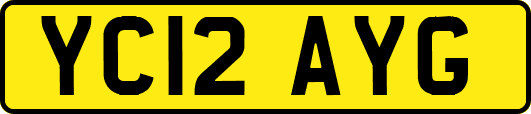 YC12AYG