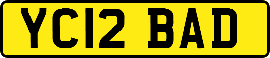 YC12BAD