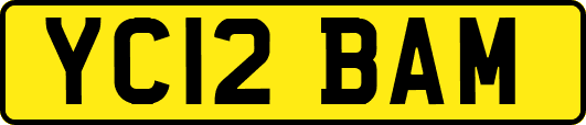 YC12BAM