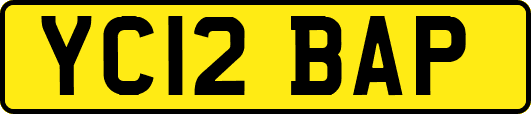 YC12BAP