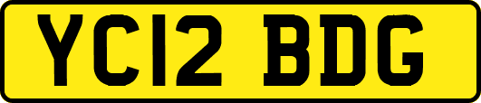 YC12BDG