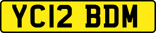 YC12BDM