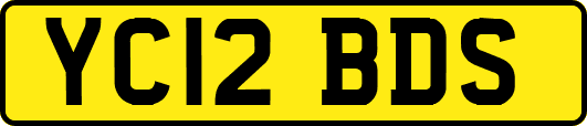 YC12BDS